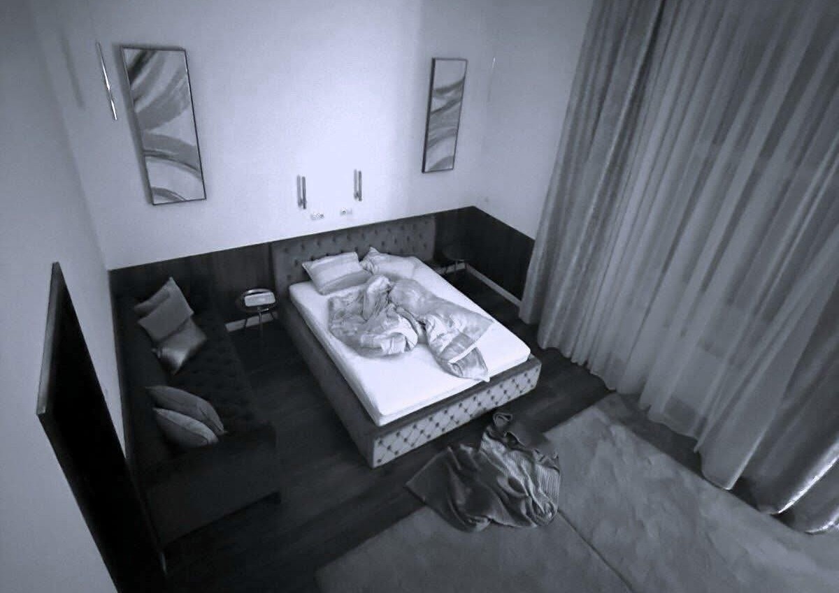 Magyar Péter. Politika. Választások.