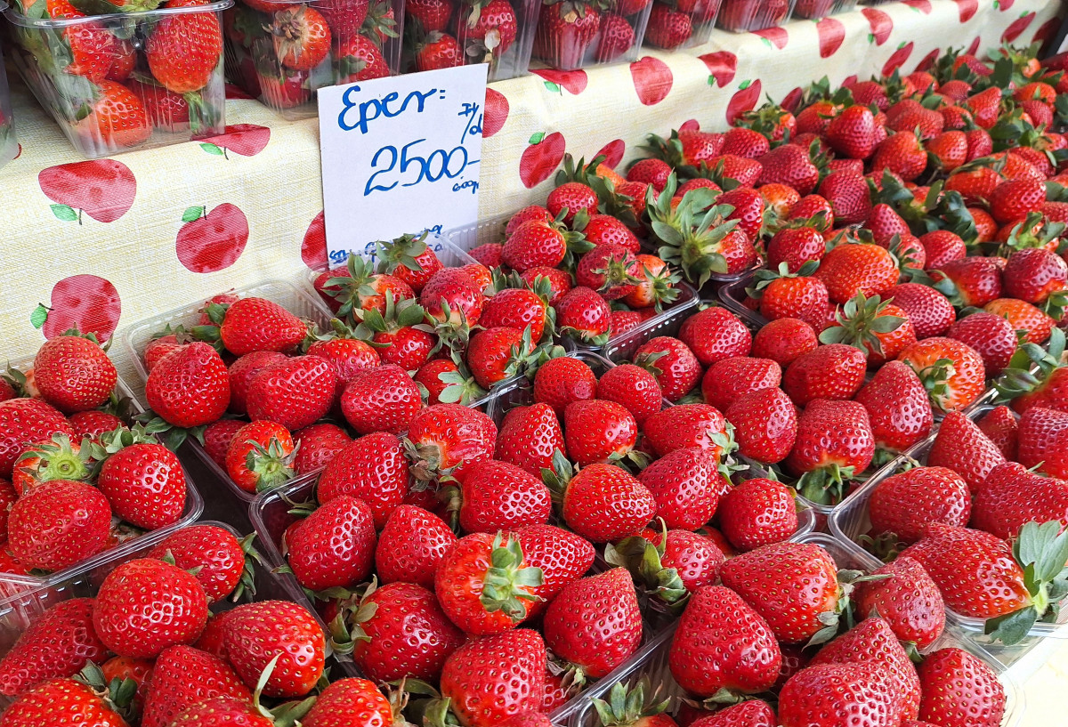 Szeged, február, eper, Mars téri piac, piac