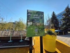 Szeged, Kormányhivatal, ReGreenX installáció, pop-up kert