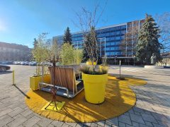 Szeged, Kormányhivatal, ReGreenX installáció, pop-up kert