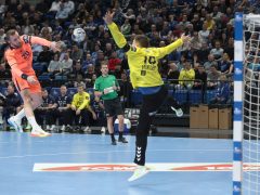 Szeged, OTP Bank Pick Szeged, Barça, kézilabda, BL, mérkőzés, Pick Aréna, sport