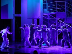 Szeged, A csillagszemű juhász, népmese, próba, színház, Szegedi Nemzeti Színház, kultura