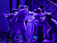 Szeged, A csillagszemű juhász, népmese, próba, színház, Szegedi Nemzeti Színház, kultura