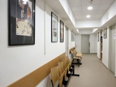 Szeged, SZTE, egyetem, Bölcsészet- és Társadalomtudományi Kar, BTK, megújult, felújított, Petőfi Sándor sugárút, épület, átadó