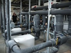 Szeged, SZTE, egyetem, Bölcsészet- és Társadalomtudományi Kar, BTK, megújult, felújított, Petőfi Sándor sugárút, épület, átadó