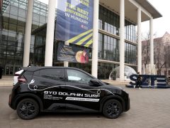 Szeged, BYD, Karriernap, kínai Tavaszünnep, SZTE, TIK, egyetem
