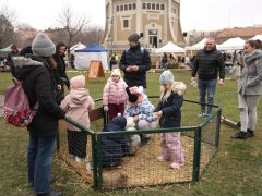 Szeged, Télbúcsúztató, kézműves vásár, Szent István tér