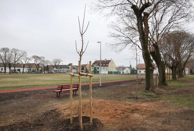 Szeged, felújított, Szabadság tér, futó pálya