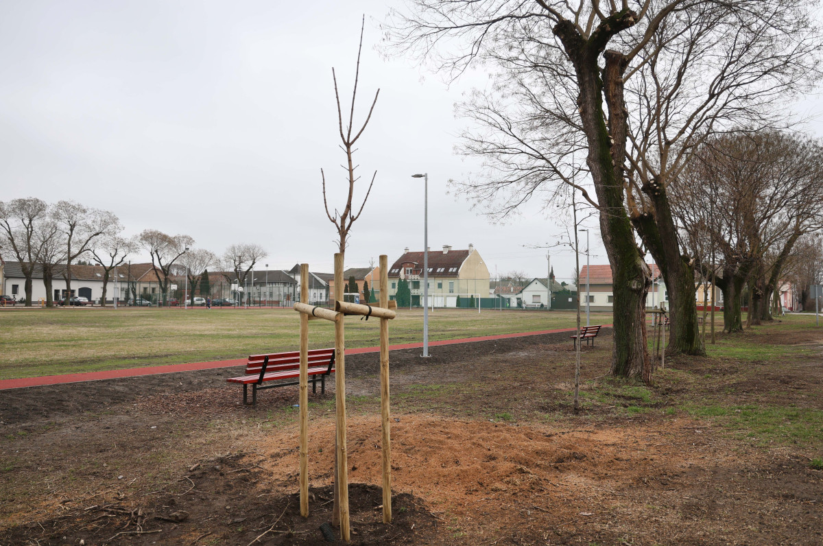 Szeged, felújított, Szabadság tér, futó pálya