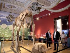 Szeged, Botka László, polgármester, átadta, Fogas Ottó, múzeumigazgató, igazgatói kinevezés, Móra Ferenc Múzeum, múzeum, jégkorszak kiállítás