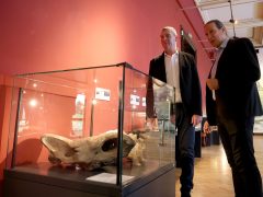 Szeged, Botka László, polgármester, átadta, Fogas Ottó, múzeumigazgató, igazgatói kinevezés, Móra Ferenc Múzeum, múzeum, jégkorszak kiállítás