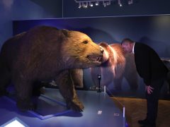 Szeged, Botka László, polgármester, átadta, Fogas Ottó, múzeumigazgató, igazgatói kinevezés, Móra Ferenc Múzeum, múzeum, jégkorszak kiállítás