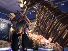 Szeged, Botka László, polgármester, átadta, Fogas Ottó, múzeumigazgató, igazgatói kinevezés, Móra Ferenc Múzeum, múzeum, jégkorszak kiállítás