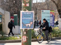 Szeged, választás, politikai plakát, plakát, politika