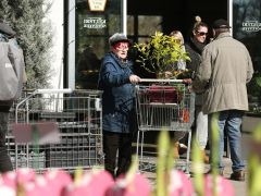 Szeged, városi hősziget-hatás csökkentése, pályázat, CSEMETE, CSEMETE Egyesület, környezetvédelem, Árendás Kertészet, virágkertészet, virág, növény, kertészkedés