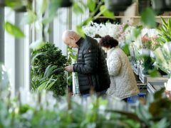 Szeged, városi hősziget-hatás csökkentése, pályázat, CSEMETE, CSEMETE Egyesület, környezetvédelem, Árendás Kertészet, virágkertészet, virág, növény, kertészkedés