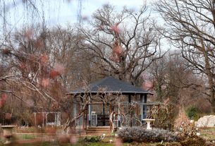 Szeged, március, tavasz, Füvészkert, természet