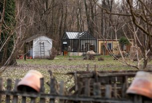 Szeged, március, tavasz, Füvészkert, természet