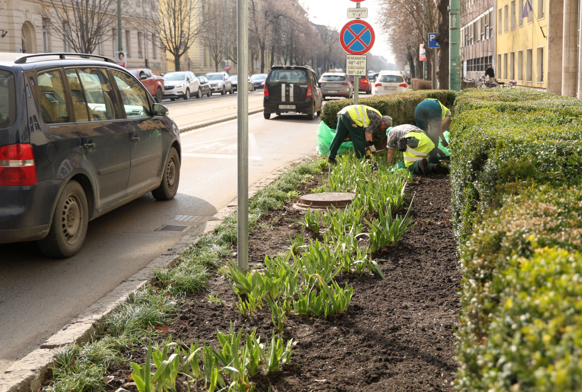 Szeged, tavasz, kertészeti és karbantartási munkálatok, Szegedi Környezetgazdálkodási Kht.