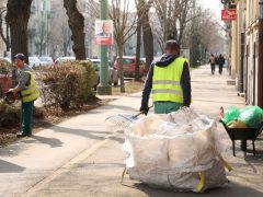 Szeged, tavasz, kertészeti és karbantartási munkálatok, Szegedi Környezetgazdálkodási Kht.