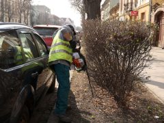 Szeged, tavasz, kertészeti és karbantartási munkálatok, Szegedi Környezetgazdálkodási Kht.