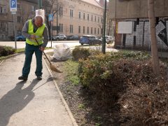 Szeged, tavasz, kertészeti és karbantartási munkálatok, Szegedi Környezetgazdálkodási Kht.