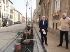 Szeged, zöldítés, fásítás, fa, faültetés, Gogol utca, Zöld város program, Nagy Sándor, Binszki József