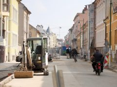 Szeged, zöldítés, fásítás, fa, faültetés, Gogol utca, Zöld város program, Nagy Sándor, Binszki József