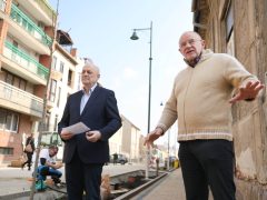 Szeged, zöldítés, fásítás, fa, faültetés, Gogol utca, Zöld város program, Nagy Sándor, Binszki József