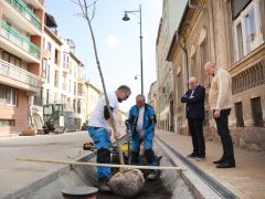 Szeged, zöldítés, fásítás, fa, faültetés, Gogol utca, Zöld város program, Nagy Sándor, Binszki József