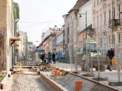 Szeged, zöldítés, fásítás, fa, faültetés, Gogol utca, Zöld város program, Nagy Sándor, Binszki József