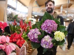 Szeged, virág, Nőnap, Mars téri piac