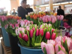 Szeged, virág, Nőnap, Mars téri piac