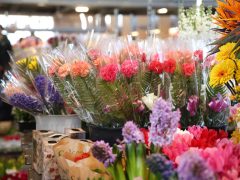 Szeged, virág, Nőnap, Mars téri piac