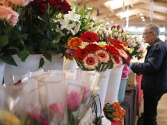 Szeged, virág, Nőnap, Mars téri piac