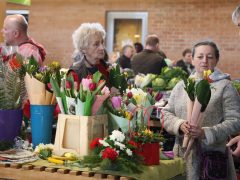 Szeged, virág, Nőnap, Mars téri piac