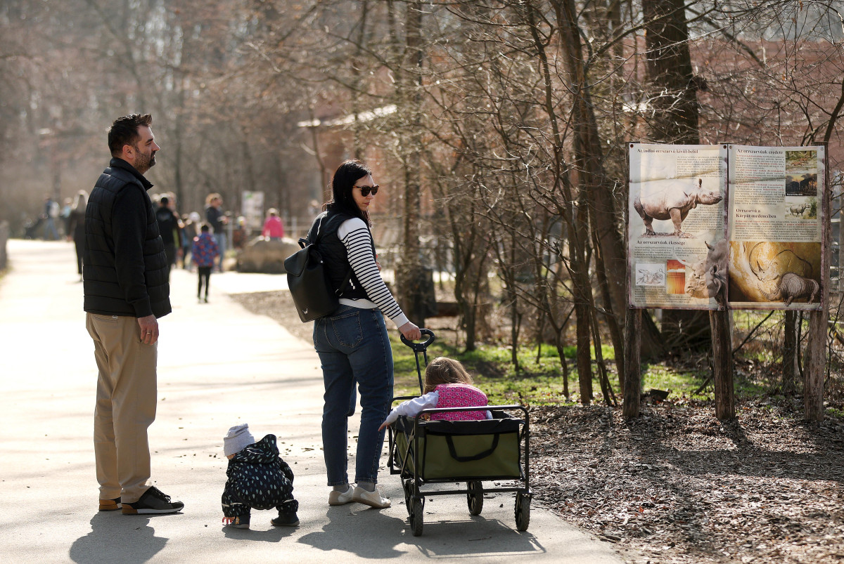Szeged, tavasz, kirándulás, Vadaspark