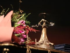 Szeged, Szegedért Alapítvány, díjátadó, gála, Szegedi Nemzeti Színház