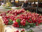 Szeged, primőr, zöldség, gyümölcs, március, tavasz, Mars téri piac, piac, retek, újhagyma, spenót, saláta, medvehagyma, uborka, virág, eper