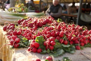 Szeged, primőr, zöldség, gyümölcs, március, tavasz, Mars téri piac, piac, retek, újhagyma, spenót, saláta, medvehagyma, uborka, virág, eper