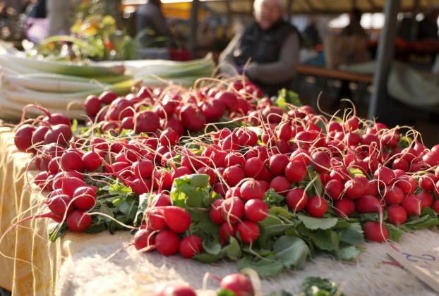 Szeged, primőr, zöldség, gyümölcs, március, tavasz, Mars téri piac, piac, retek, újhagyma, spenót, saláta, medvehagyma, uborka, virág, eper