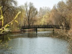 Szeged, Holt-Maros, tavasz, március, természet
