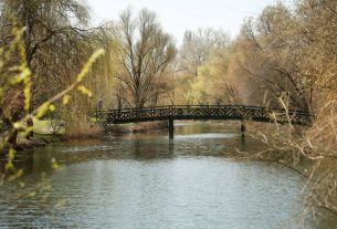 Szeged, Holt-Maros, tavasz, március, természet