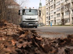 Szeged, tavasz, tavaszi takarítás, takarítás, Somogyi utca, belváros