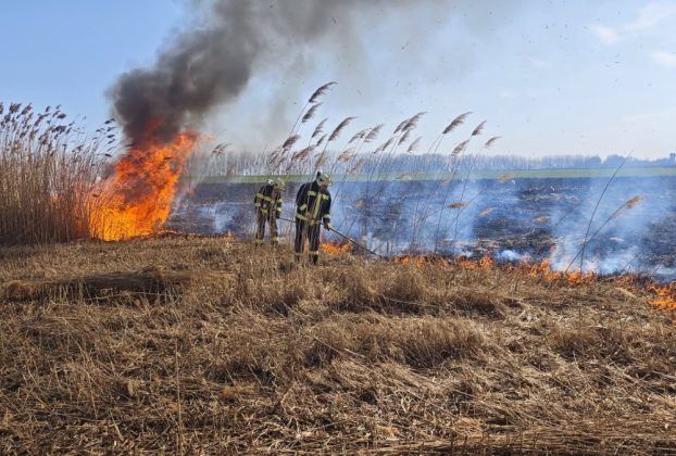 szabadtéri tűz-katasztrófavédelem