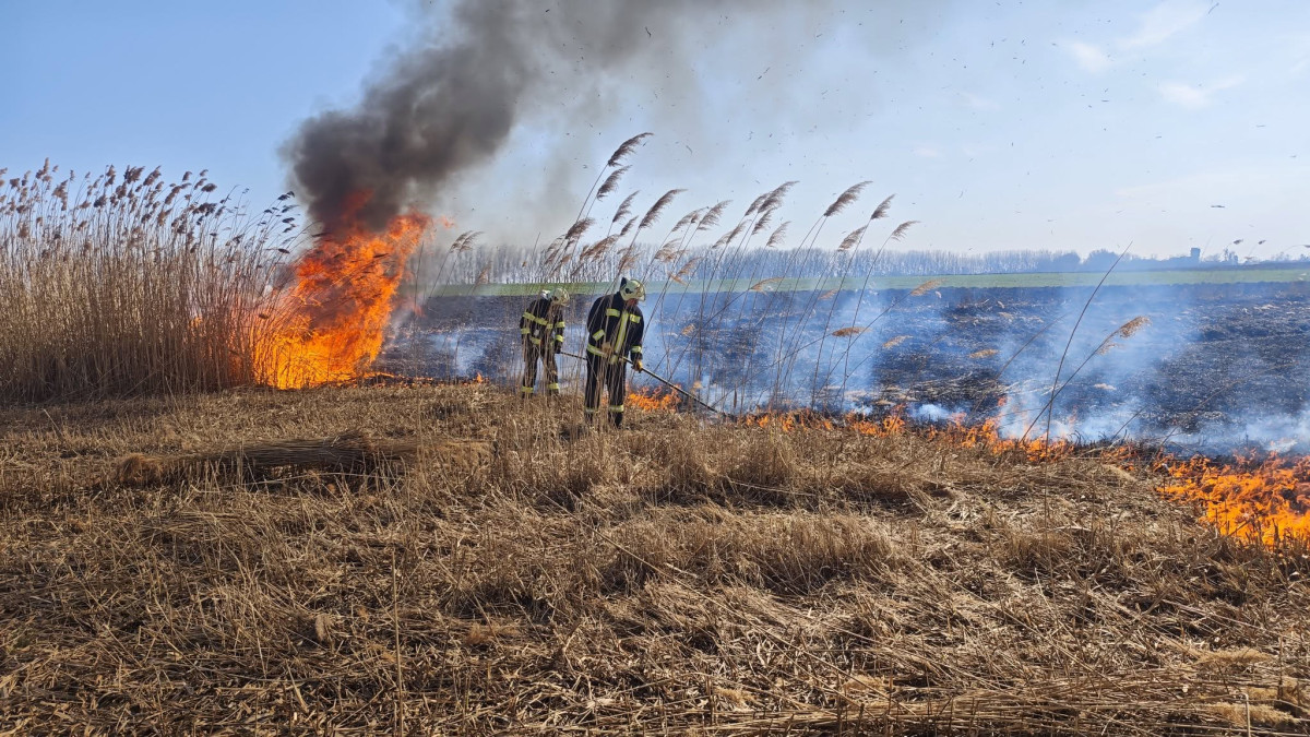 szabadtéri tűz-katasztrófavédelem