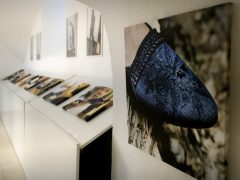 Szeged, Dóm Látogatóközpont, 10. éves, dóm, torony, kupolakilátó, kiállítás, esemény, kultura