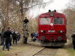 Szeged, József Attila Expressz, vasút, MÁV, vonat, mozdony, nosztalgiajárat, újszegedi vasútállomás