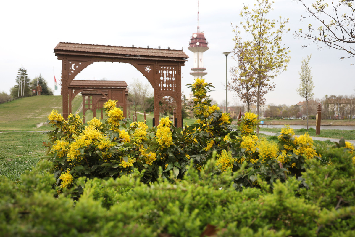 Szeged, Vér-tó, tavasz, időjárás