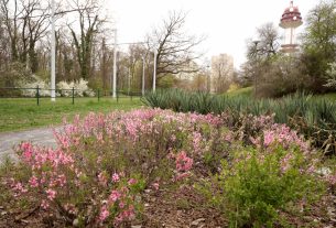 Szeged, Vér-tó, tavasz, időjárás